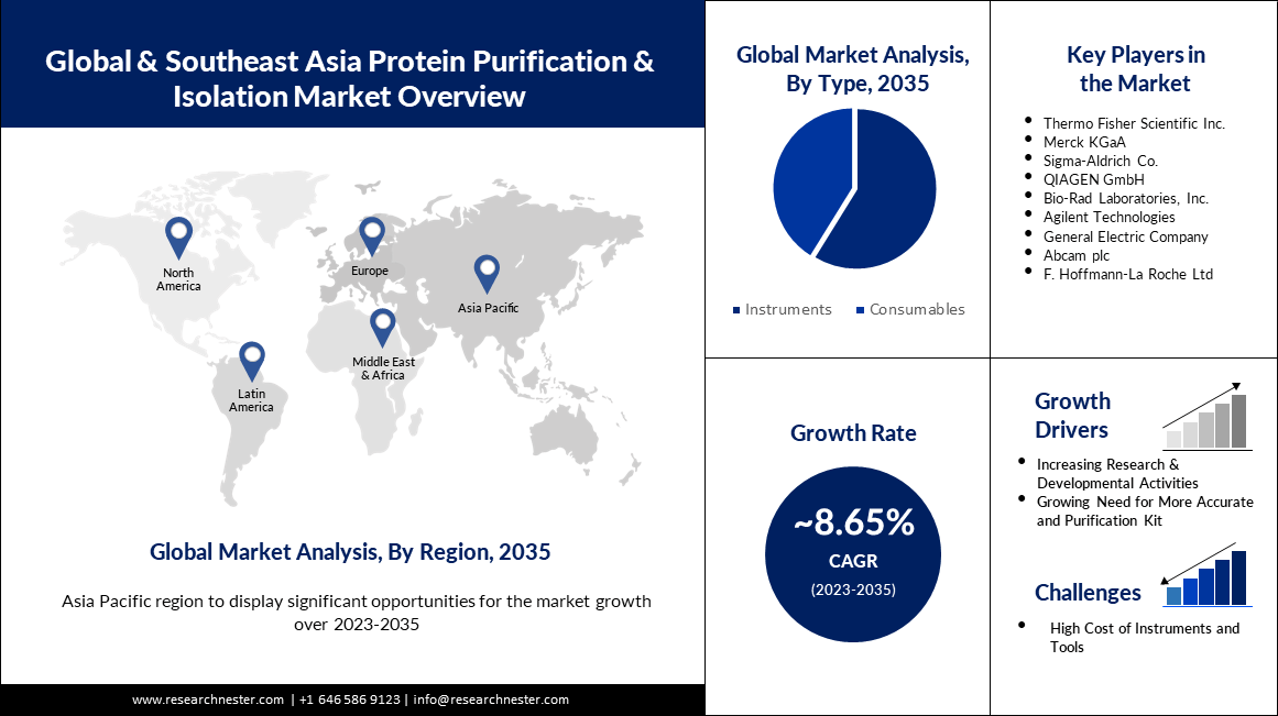 Global & Southeast Asia Protein Purification & Isolation Market.PNG